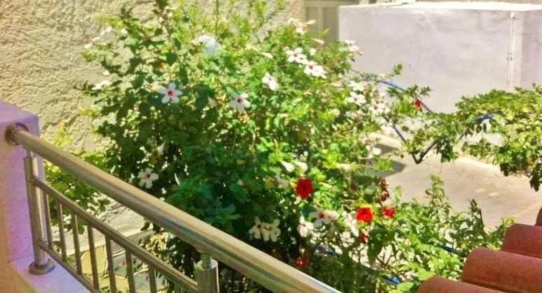 Apartment with Garden View