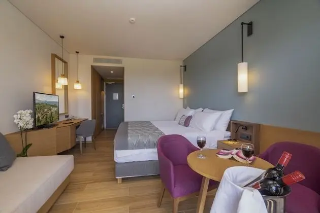 Deluxe Tek Büyük Yataklı Oda (Asterias)