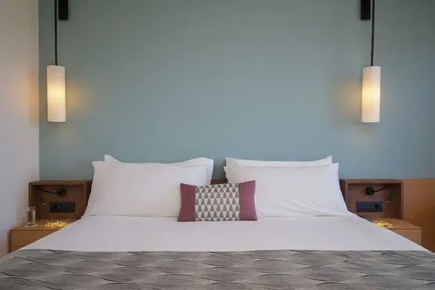 Deluxe Tek Büyük Yataklı Oda (Asterias)