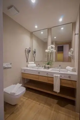 Deluxe Tek Büyük Yataklı Oda (Asterias)