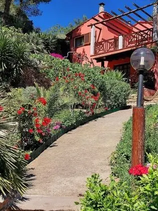 Apart Daire, 1 Yatak Odası, Teras