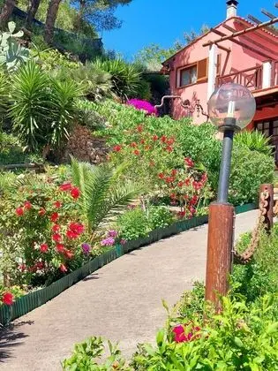 Apart Daire, 1 Yatak Odası, Teras