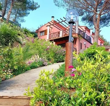 Apart Daire, 1 Yatak Odası, Teras