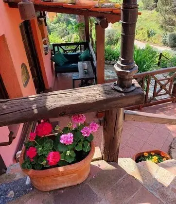 Apart Daire, 1 Yatak Odası, Teras