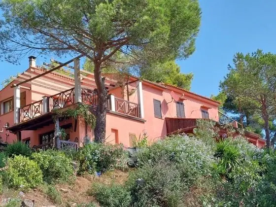 Apart Daire, 1 Yatak Odası, Teras