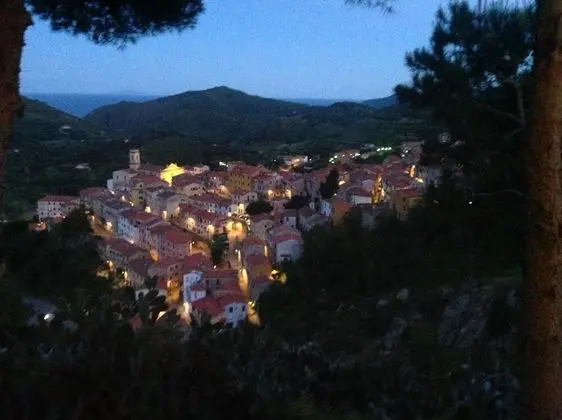 Apart Daire, 1 Yatak Odası, Teras