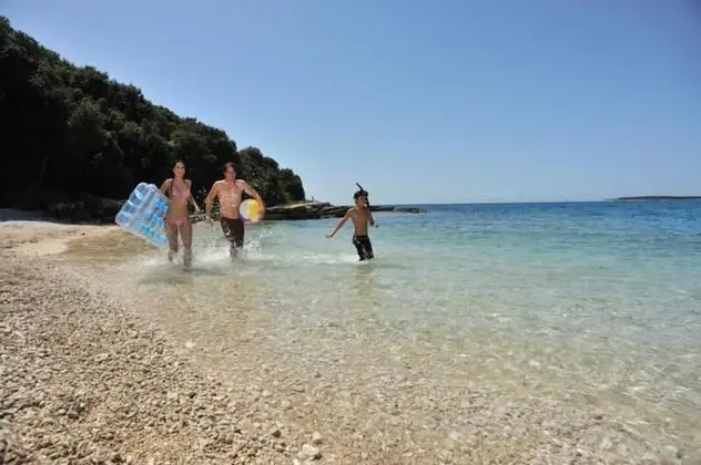 Apart Daire, 1 Çift Kişilik Yatak ve Çekyat