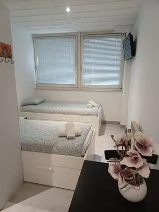 Basic Stüdyo