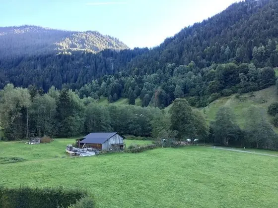Apart Daire, 1 Yatak Odası, Balkon, Vadi Manzaralı