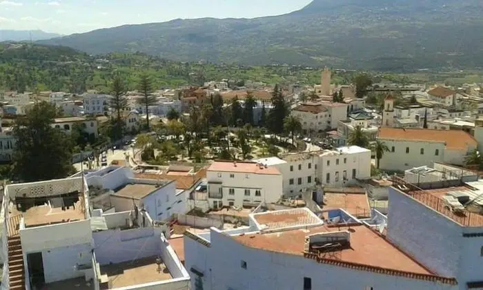 Standard Tek Büyük veya İki Ayrı Yataklı Oda, 1 Yatak Odası