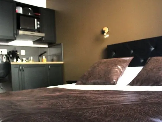 Deluxe Stüdyo, Banyolu/Duşlu, Şehir Manzaralı