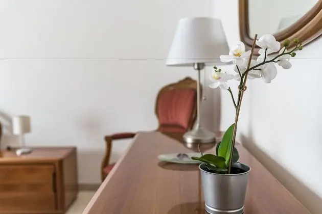 Classic Apart Daire, 2 Yatak Odası