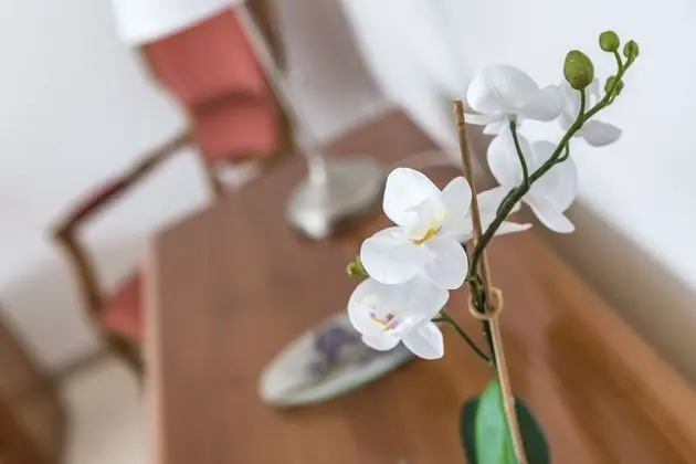 Classic Apart Daire, 2 Yatak Odası