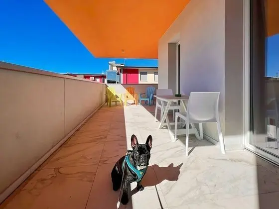 Superior Stüdyo Süit (3F)