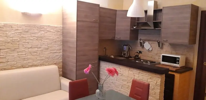 Apart Daire, 1 Yatak Odası (Basement )