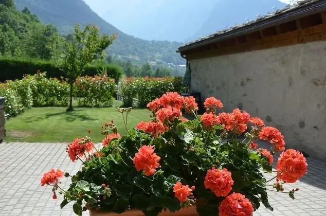 Apart Daire, 1 Yatak Odası, Buzdolabı