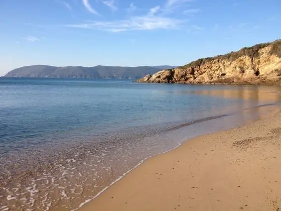 Apart Daire, Birden Çok Yatak