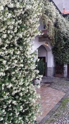 Apart Daire, 3 Yatak Odası, Mikrodalga