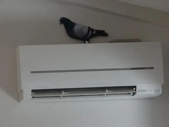 Superior Apart Daire, 2 Yatak Odası