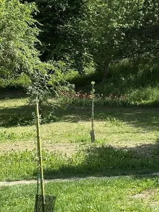 Apart Daire, 1 Yatak Odası, Engellilere Uygun, Veranda