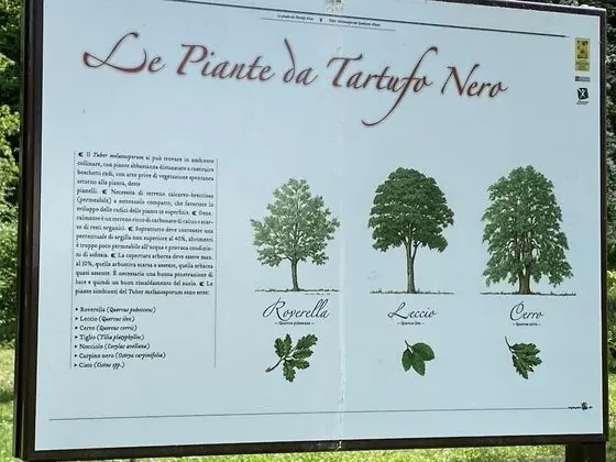 Apart Daire, 1 Yatak Odası, Engellilere Uygun, Veranda