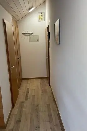 Ev