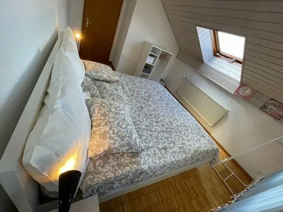 Ev