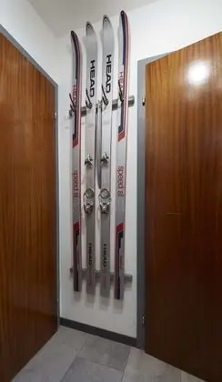 Basic Stüdyo