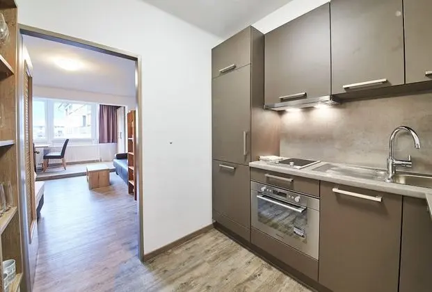 Stüdyo, Dağ Manzaralı (Appartement)