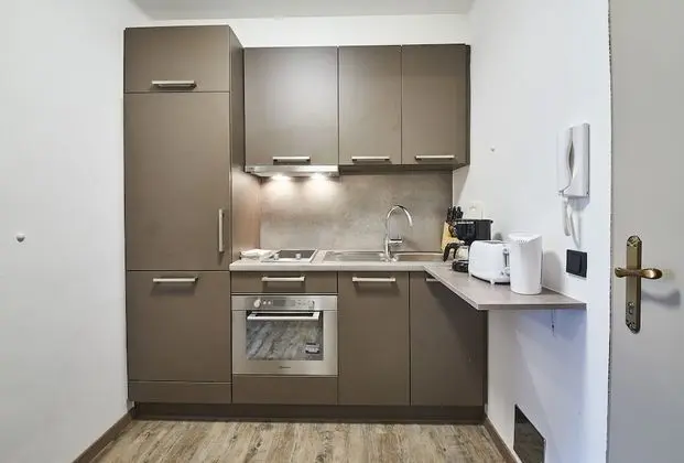 Stüdyo, Dağ Manzaralı (Appartement)
