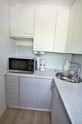 Stüdyo, Dağ Manzaralı (Appartement)