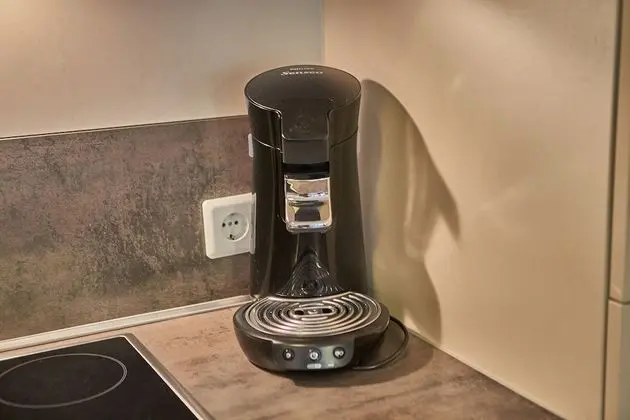 Apart Daire, 2 Yatak Odası, Dağ Manzaralı (Appartement Top 1)