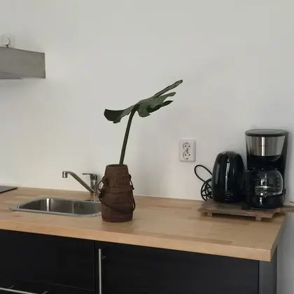 City Apart Daire, 1 Yatak Odası, Balkon