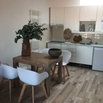 Deluxe Apart Daire, 1 Yatak Odası, Mutfak