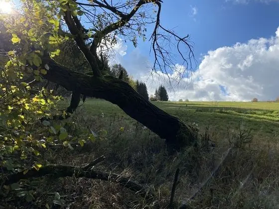 Deluxe Apart Daire, Özel Banyo