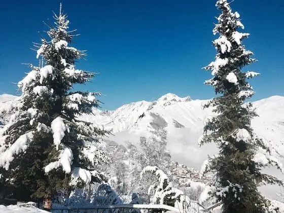 Apart Daire, 2 Yatak Odası (Le Villard)