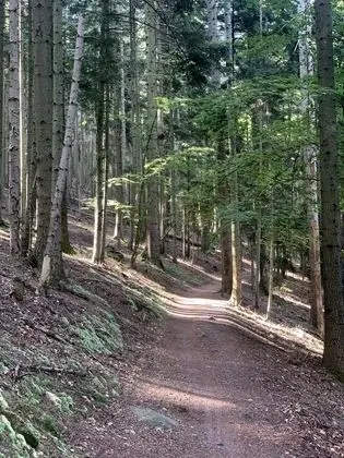 Apart Daire, Banyolu/Duşlu, Dağ Manzaralı (Grand Rocher)