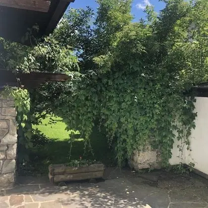 Apart Daire, 1 Yatak Odası, Balkon (excl. 70€ Cleaning Fee)