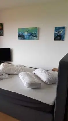 Basic Stüdyo
