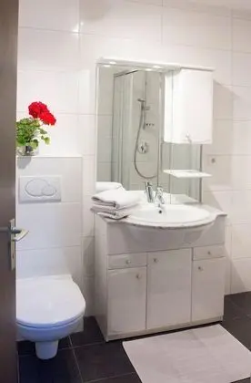 Apart Daire, 1 Yatak Odası, Balkon (Schlick)