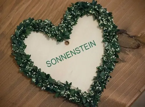 Apart Daire, 1 Yatak Odası, Teras (Sonnenstein)