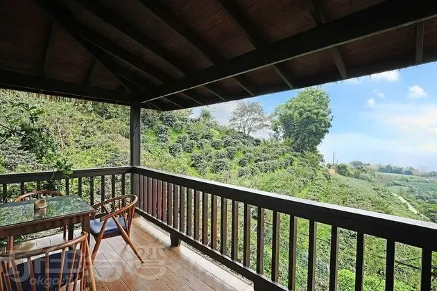 Tek Büyük Yataklı Oda (Chalet )