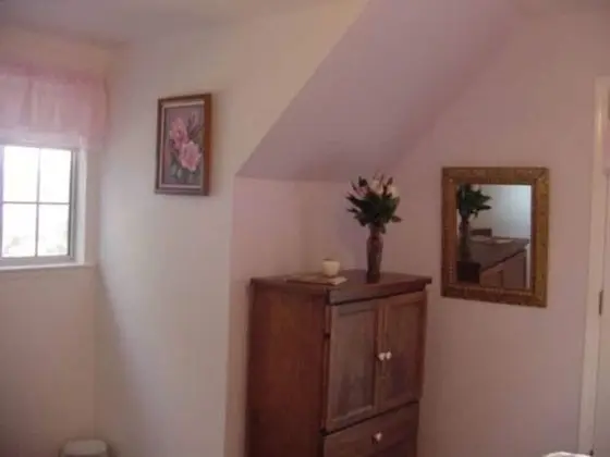 Deluxe Tek Büyük Yataklı Oda, Özel Banyo (Blossom)