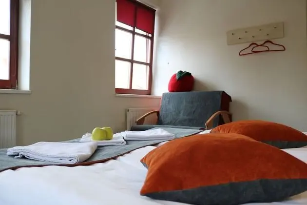 Luxury Tek Büyük Yataklı Oda