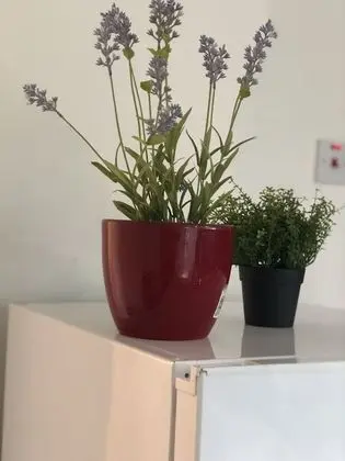 Apart Daire, Banyolu/Duşlu (Copthorne Mews Ub3 4bn   )
