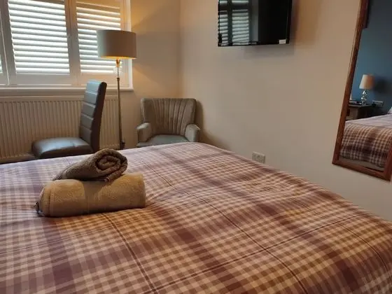 Deluxe Tek Büyük Yataklı Oda, 1 Çift Kişilik Yatak, Banyolu/Duşlu