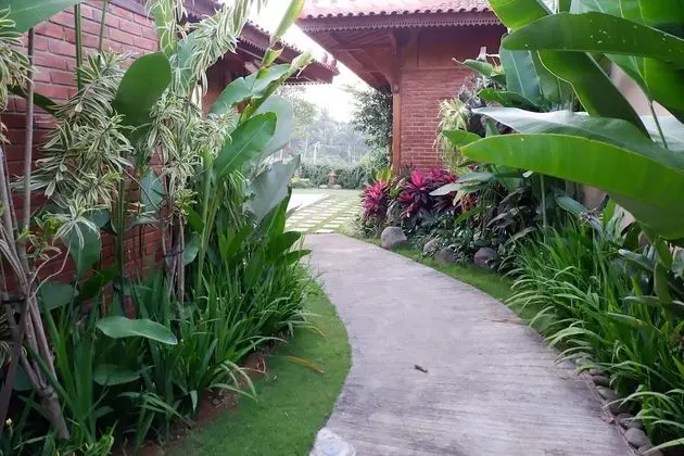 Deluxe Villa, 3 Yatak Odası