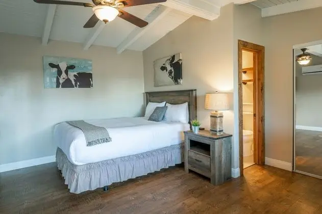 Deluxe Oda, 1 Büyük (Queen) Boy Yatak