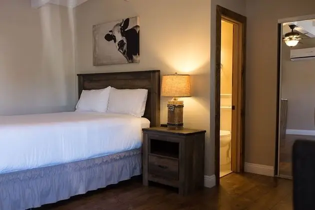 Deluxe Oda, 1 Büyük (Queen) Boy Yatak