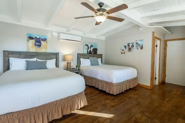 Deluxe Oda, 2 Büyük (Queen) Boy Yatak